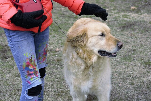 animateur zootherapie
